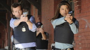 Poster for The Sweep