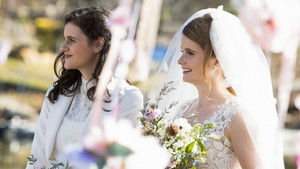 Poster for Gulf Fritillary Butterfly