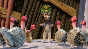 Poster for The Jungle Rooster