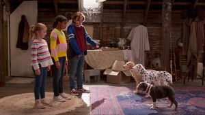 Poster for Phantom Phoam