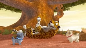 Poster for Speedy As A Cheetah