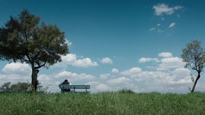 Poster for The Wedding