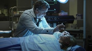 Poster for A New Day in the Old Town