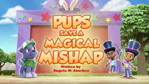 Poster for Pups Save a Magical Mishap