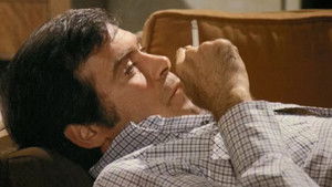 Poster for Cop in the Middle