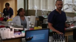 Poster for S13 - In Stitches