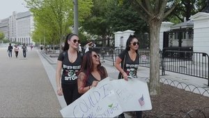 Poster for Snooki Goes To Washington, Pt. 1