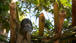 Poster for Episode 21