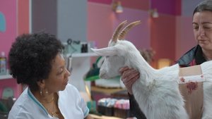 Poster for The Visit