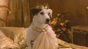 Poster for The Entrepawneur