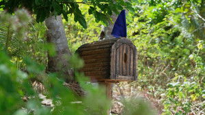 Poster for Episode 40