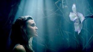 Poster for Changeling