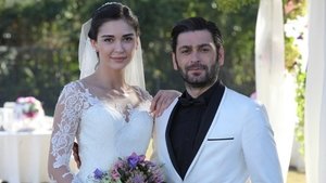 Poster for Episode 41