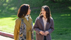 Poster for Waiting for Wings