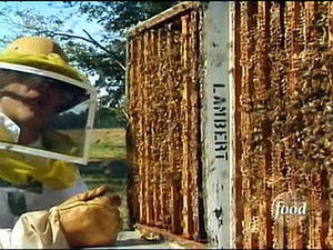 Poster for Pantry Raid IV: Comb Alone