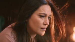 Poster for The Sunny Leone Project