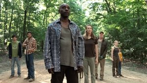 Poster for This Is Nowhere (2)