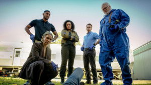 Poster for Gold Digger