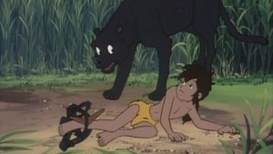 Poster for Sorry Baloo