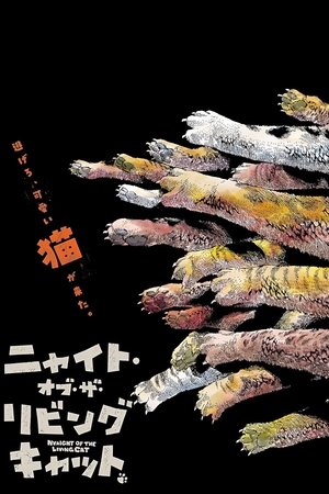 活死喵之夜