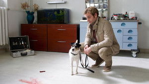 Poster for Episode 25