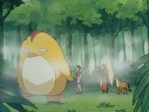 Poster for The G.C. Hayate Flies In A Dream! Poster for The G.C. Hayate Flies In A Dream!