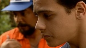 Poster for Chapter 34 Poster for Chapter 34