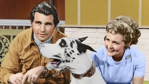 Poster for James Brolin