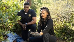 Poster for Secrets and Lies