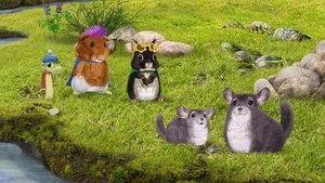 Poster for Save the Chinchilla! / Help the Golden Spider?