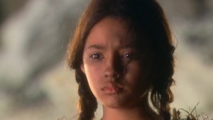 Poster for No País do Sol a Pino