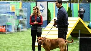 Poster for Forever and a Dog