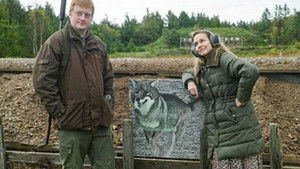 Poster for Skyd, grav ned, hold kæft