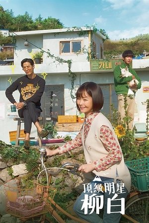 超级巨星柳白