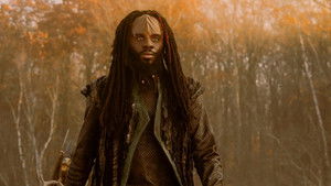 Poster for Vox in Excelso