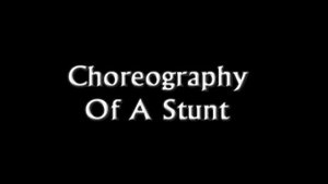 Poster for Angel Choreography Of A Stunt