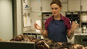 Poster for The Passenger in the Oven