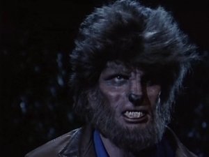 Poster for I Was a Middle Aged Werewolf