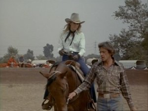 Poster for Rodeo