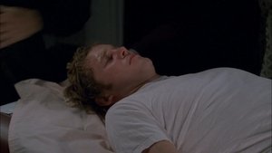 Poster for Is There a Doctor in the House?