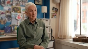 Poster for Pan troglodytes