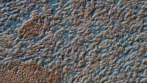 Poster for Your Screen Is Covered In Human Blood