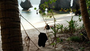 Poster for Episode 26