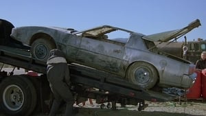 Poster for Junk Yard Dog