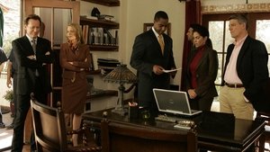 Poster for Sins of the Mother