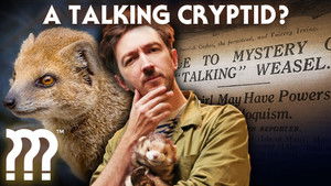 Poster for The Freaky Case of Gef the Talking Mongoose