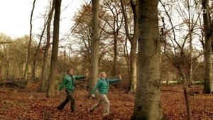 Poster for All Roads Lead to You