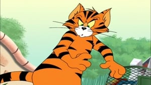 Poster for Tiger Cat