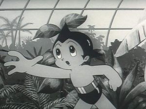 Poster for The Flower Monster