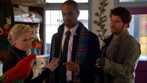 Poster for Meat the Parrots